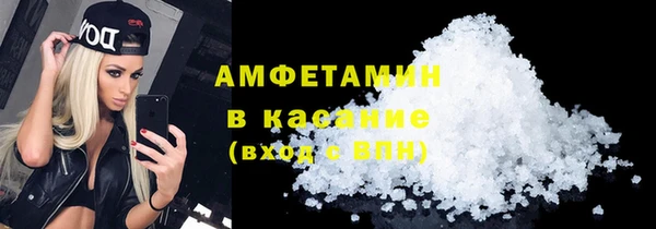 индика Краснотурьинск