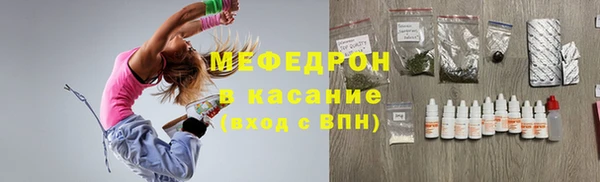 индика Краснотурьинск
