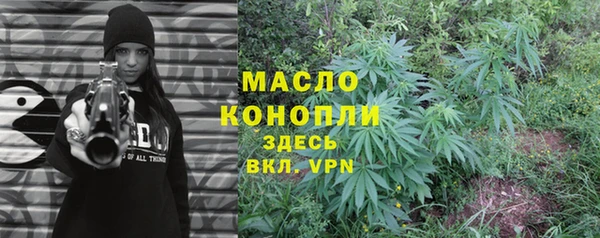 индика Краснотурьинск