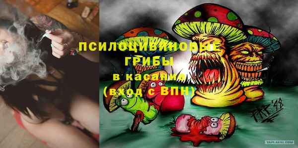 индика Краснотурьинск