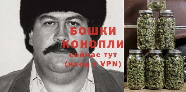 индика Краснотурьинск