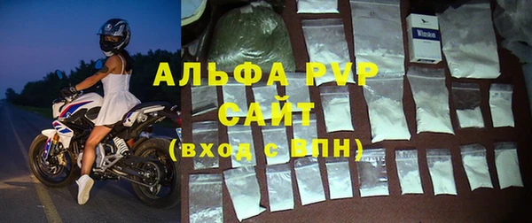 индика Краснотурьинск