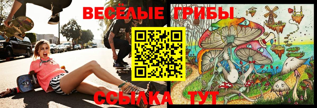 Псилоцибиновые грибы прущие грибы Майкоп