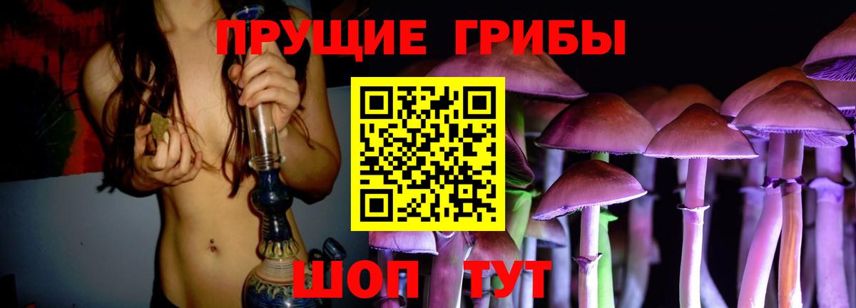 Майкоп  Псилоцибиновые грибы Psilocybine cubensis  Вход с VPN 